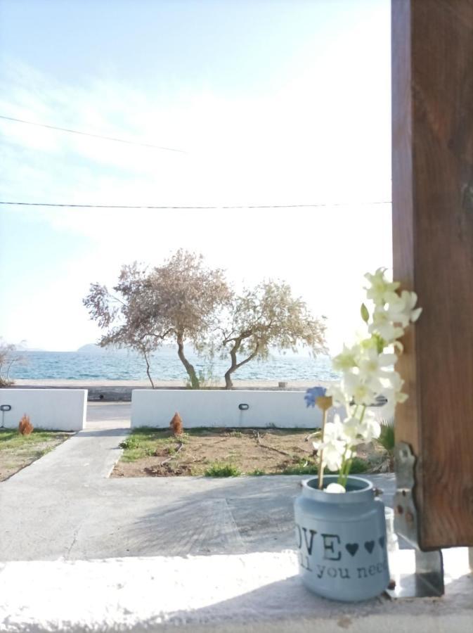 V&E'S Apartments Pigadhia  エクステリア 写真