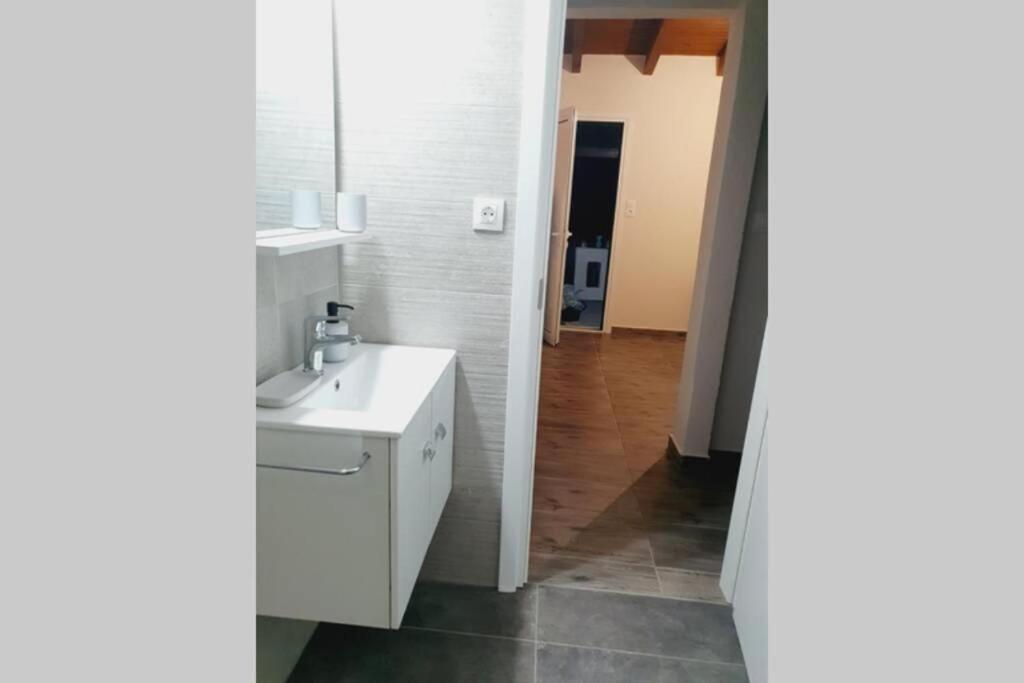 V&E'S Apartments Pigadhia  エクステリア 写真